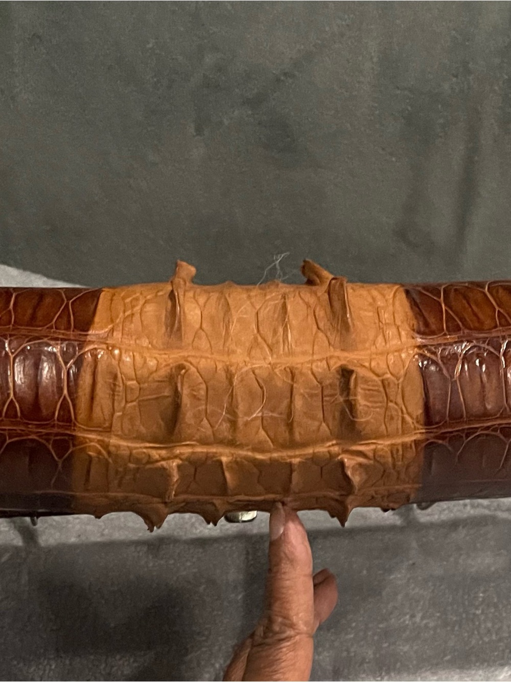 Vintage Mid-Century Genuine Crocodile Leather & Hornback Center with Kisslock - Picture 2 of 6